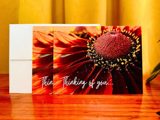 Anita NoteCard