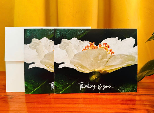 PNW Notecard